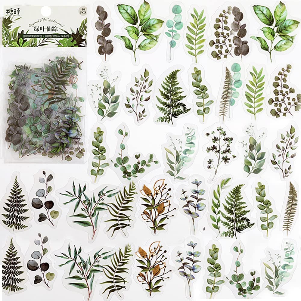 40 Pcs 스크랩북 스티커 애완 동물 투명 꽃 자연  - Art Craft Journals 리뷰 및 가격